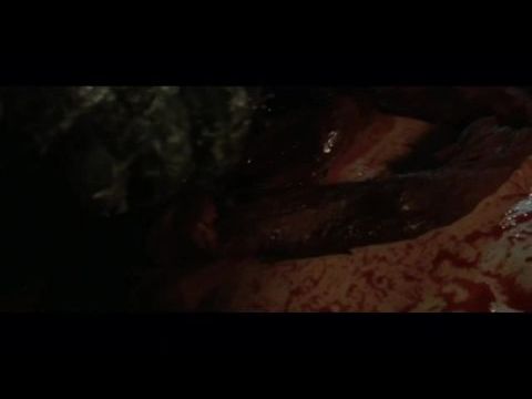 Don't Fuck in the Woods 2