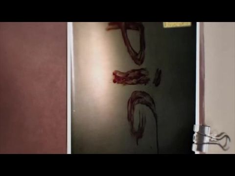 A Wilderness of Error