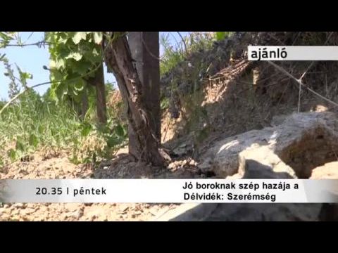 Jó boroknak szép hazája a Délvidék – Szerémség 