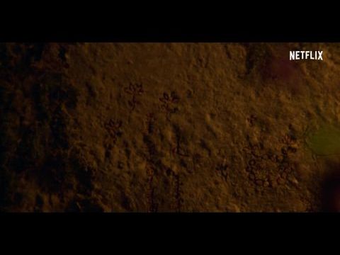 A királyság titkai: Az északi Ashin