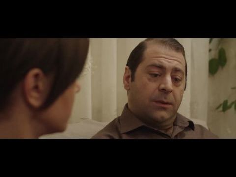 Agustos böcekleri ve karincalar