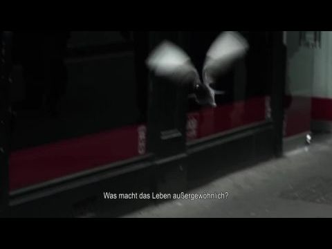 Free Speech Fear Free