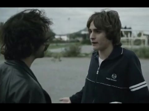 La caída del vencejo