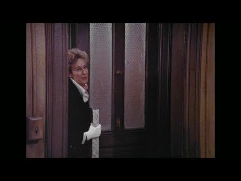 A pillangók szabadok