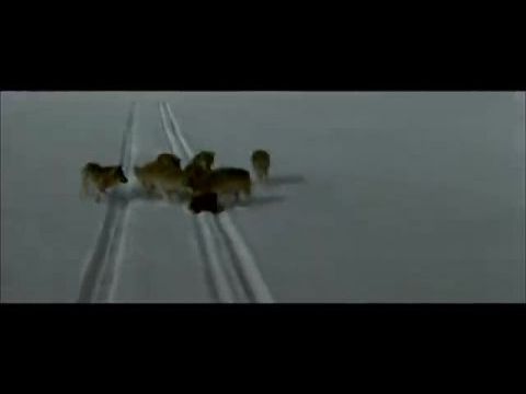 A kőszívű ember fiai