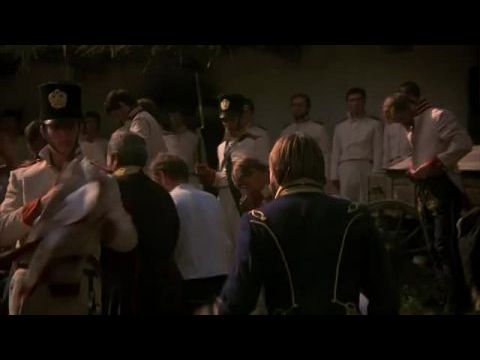 Szirmok, virágok, koszorúk