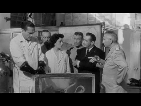 It Came from Beneath the Sea