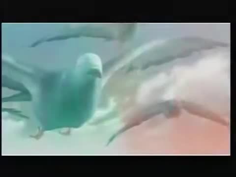 Bakugan: Bunyóbolygó