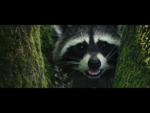 Bambi – Egy élet az erdőben