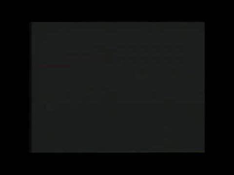 Tiny Toon Adventures: How I Spent My Vacation