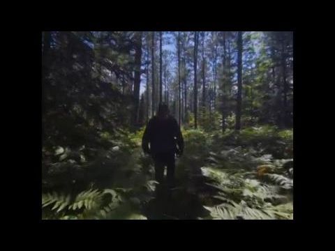 In a Violent Nature 2