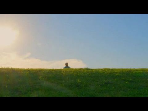 AJ Goes to the Dog Park