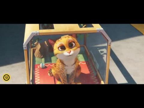 Kiskedvencek elszabadulva