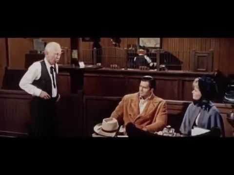 A grizzli éjszakája