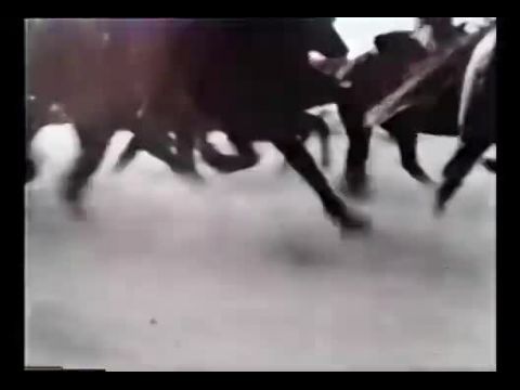 The Legend of Nigger Charley