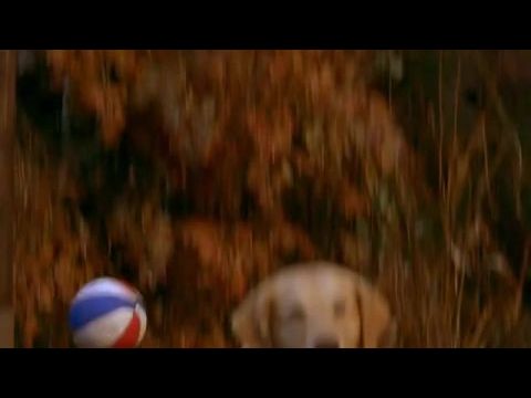 Szájkosaras kosaras