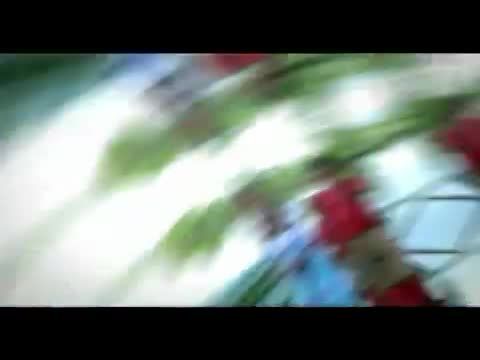 Egy magyar sír az esőerdőben