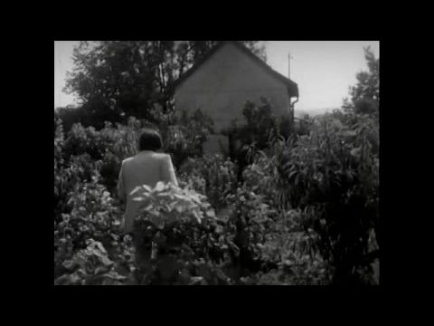 A mindenség szerelmese