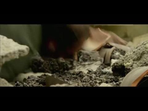 Les chaises musicales