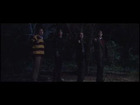 Severus Snape and the Marauders