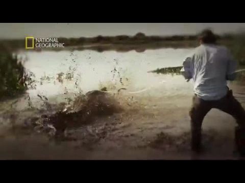 Az ausztrál krokodilmentő