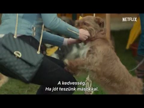 After Life - Mögöttem az élet - 3. évad