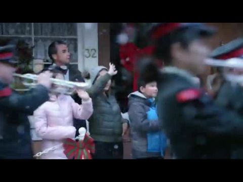 Mikulásvirág Karácsonyra