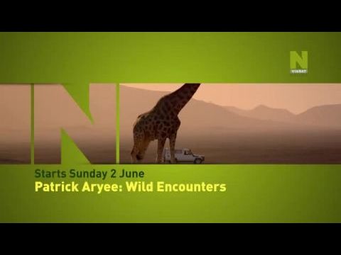 Patrick Aryee vadvilága