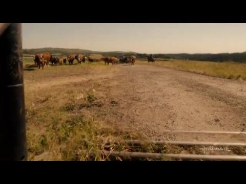 Érzelmek viharában