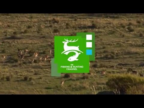 Nagyvadak Argentínában