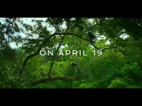 A csimpánzok birodalma - 1. évad