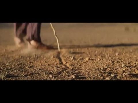 Tehu - Egy kis teve nagy kalandja