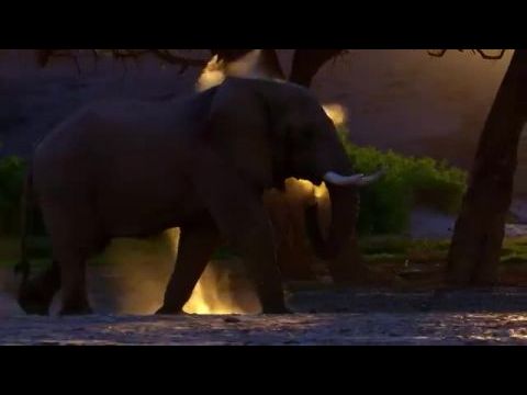 Az elefántok titkai - 1. évad