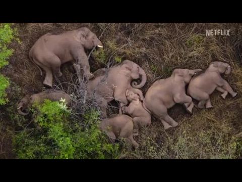 Our Planet - Bolygónk csodái II