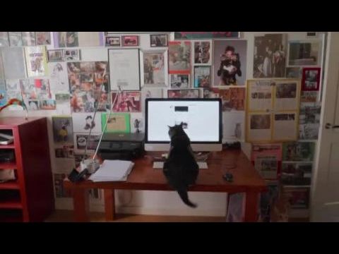 Cicavilág - Óda a macskákhoz