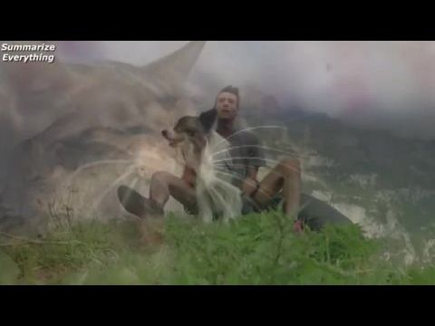 A kis kedvenceink rejtett élete