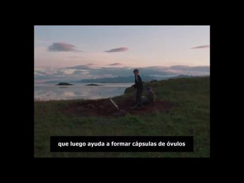 Jóhanna af Örk