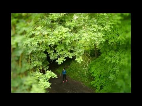 The Runner