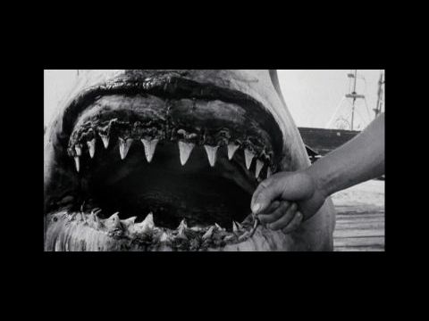 Blue Water, White Death