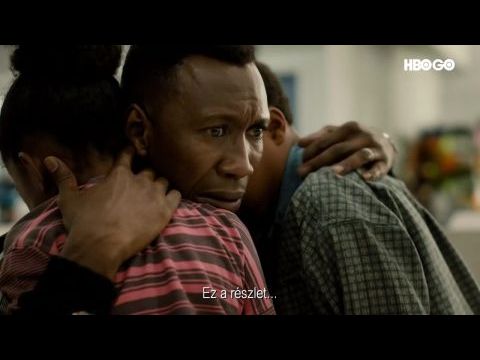 A törvény nevében