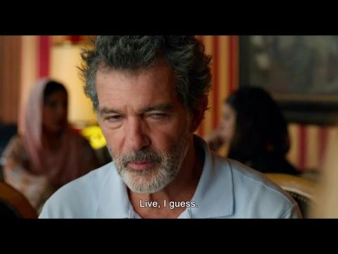 Fájdalom és dicsőség