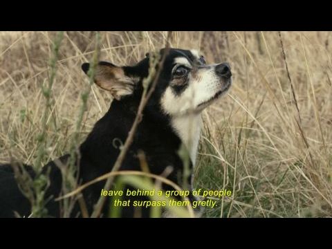 El Pepe: A felsőbbrendű élet