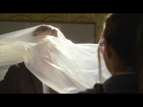 Stranded in Paradise