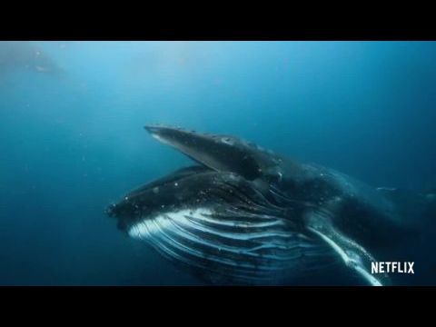 A mi bolygónk - A színfalak mögött