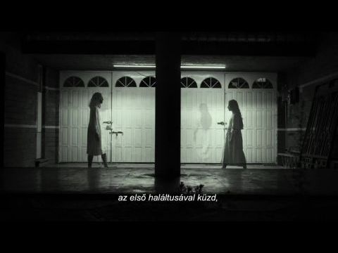 A művészet templomai: Frida Kahlo