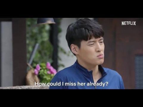 Camellia tündöklése