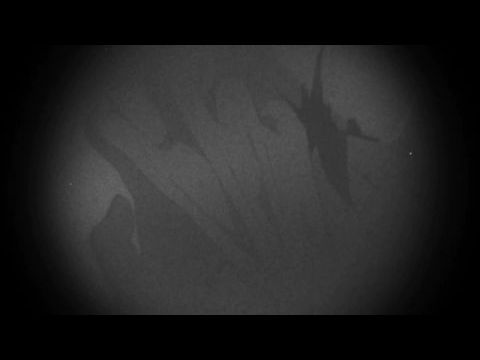 Amikor az éji kabócák sírnak