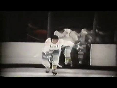 California Golden Seals Story