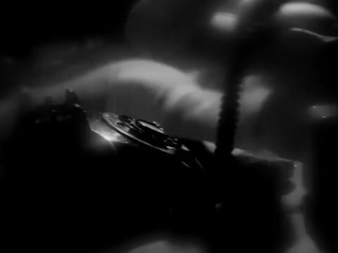 Who Killed Teddy Bear