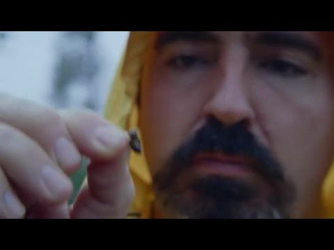 Halálos lódarazsak